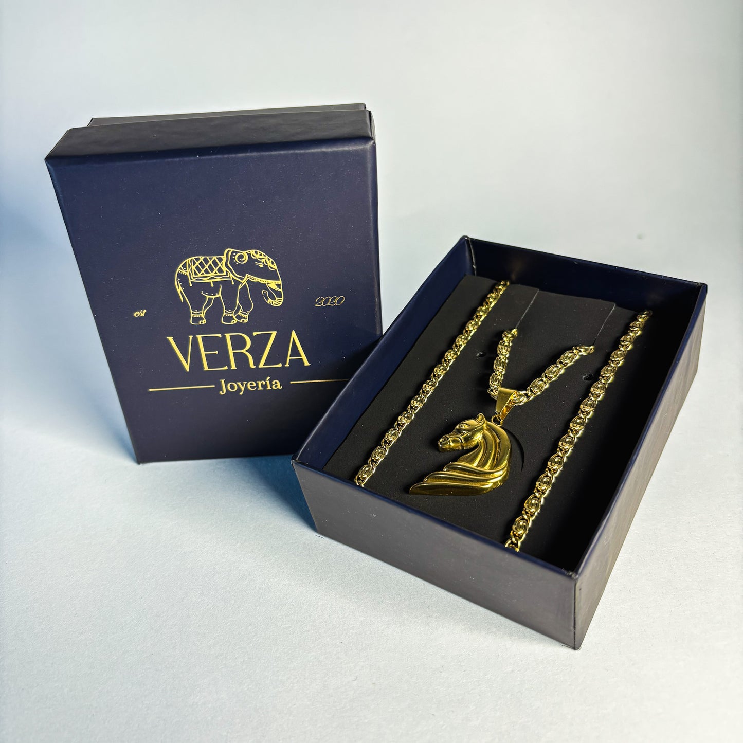 Cadena CLIP + Dije